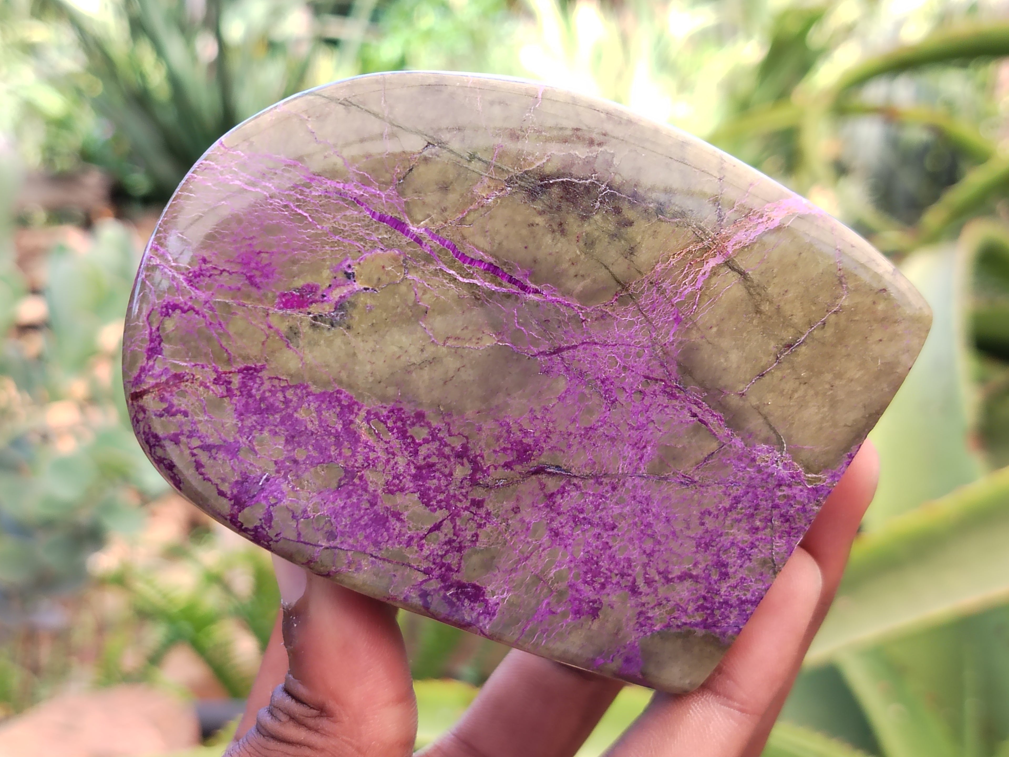 Polished Stichtite Standing Free Forms x 4 From Barberton, South Africa - Toprock Gemstones and Minerals 