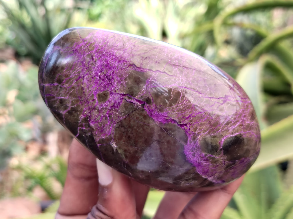 Polished Stichtite Standing Free Forms x 4 From Barberton, South Africa - Toprock Gemstones and Minerals 