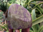 Polished Stichtite Standing Free Forms x 4 From Barberton, South Africa - Toprock Gemstones and Minerals 