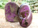 Polished Stichtite Standing Free Forms x 4 From Barberton, South Africa - Toprock Gemstones and Minerals 