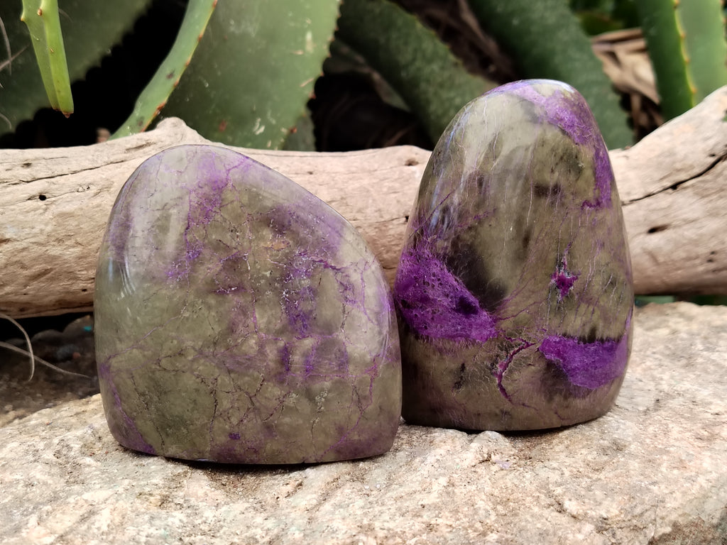 Polished Stichtite Standing Free Forms x 4 From Barberton, South Africa - Toprock Gemstones and Minerals 