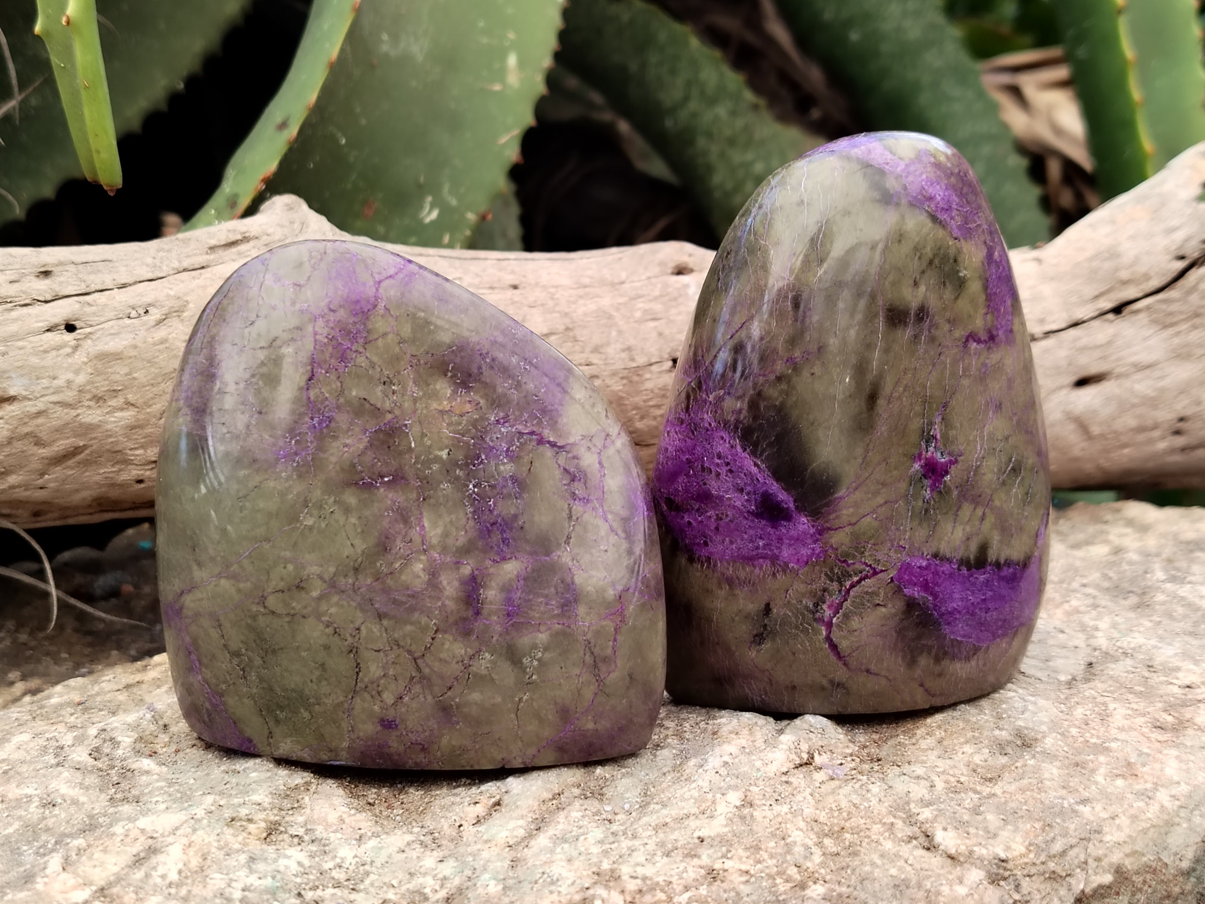 Polished Stichtite Standing Free Forms x 4 From Barberton, South Africa - Toprock Gemstones and Minerals 