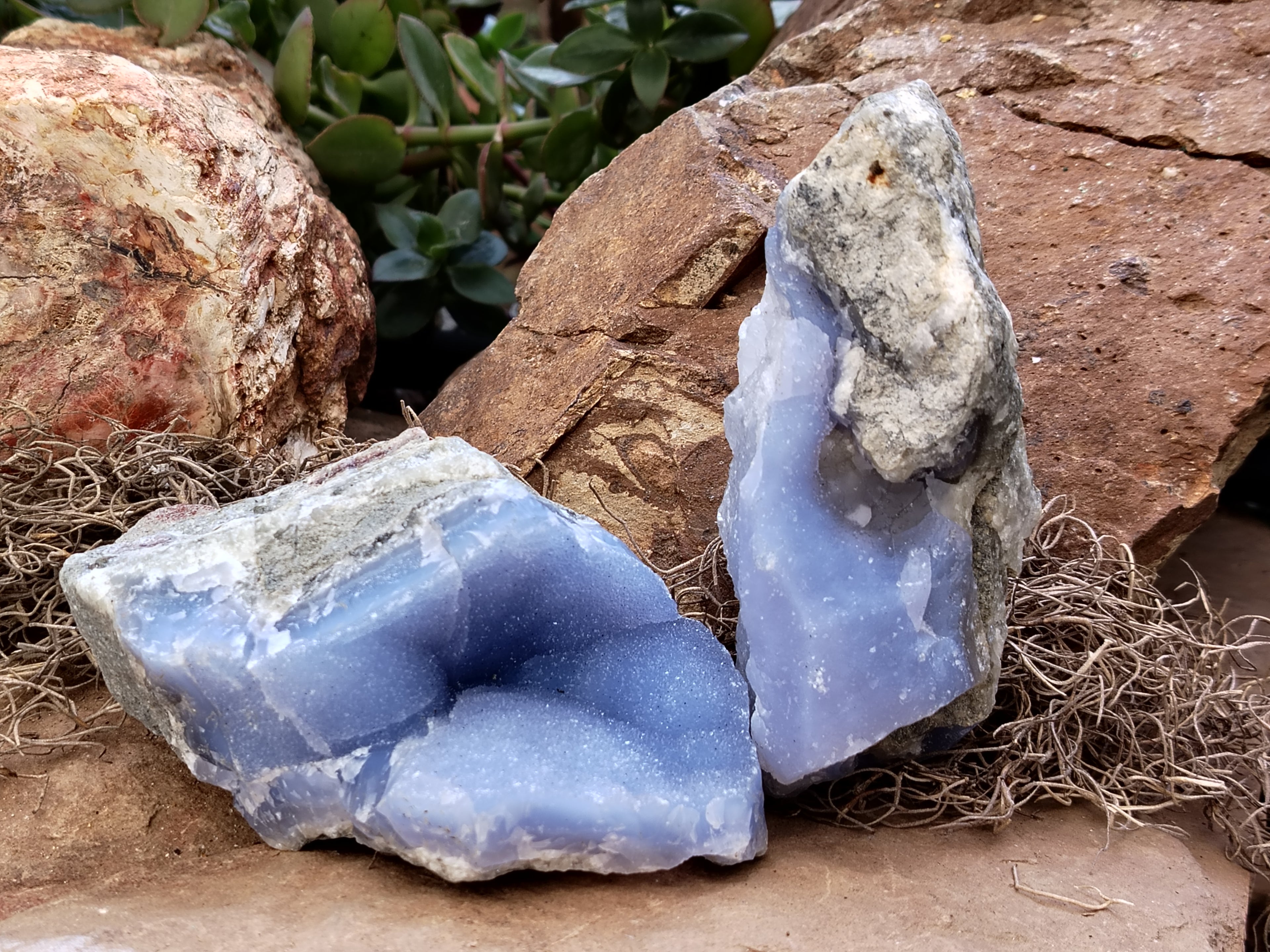 Natural Blue Lace Agate Geodes x 6 From Nsanje, Malawi - Toprock Gemstones and Minerals 