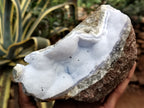 Natural Blue Lace Agate Geodes x 6 From Nsanje, Malawi - Toprock Gemstones and Minerals 