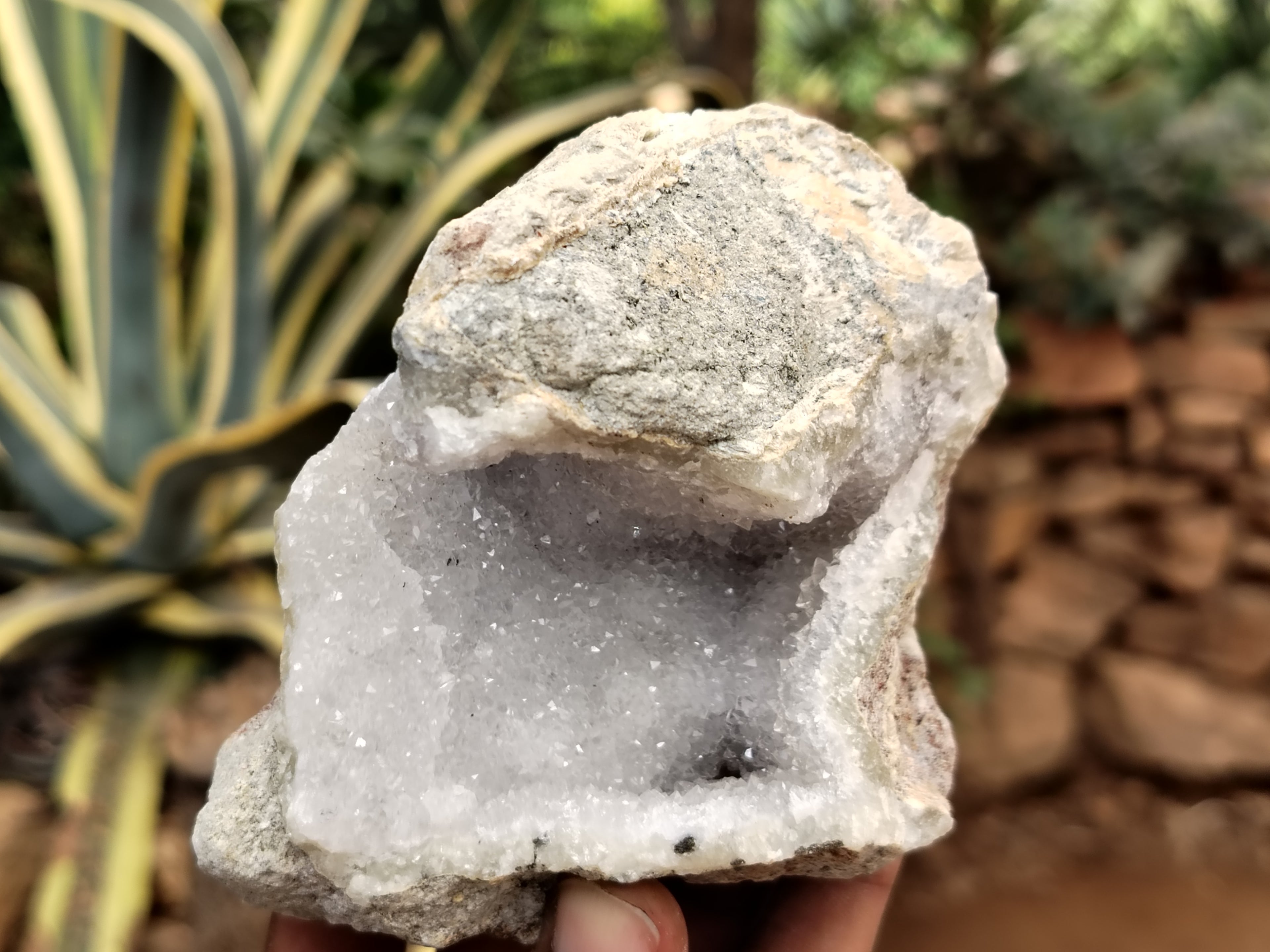 Natural Blue Lace Agate Geodes x 6 From Nsanje, Malawi - Toprock Gemstones and Minerals 