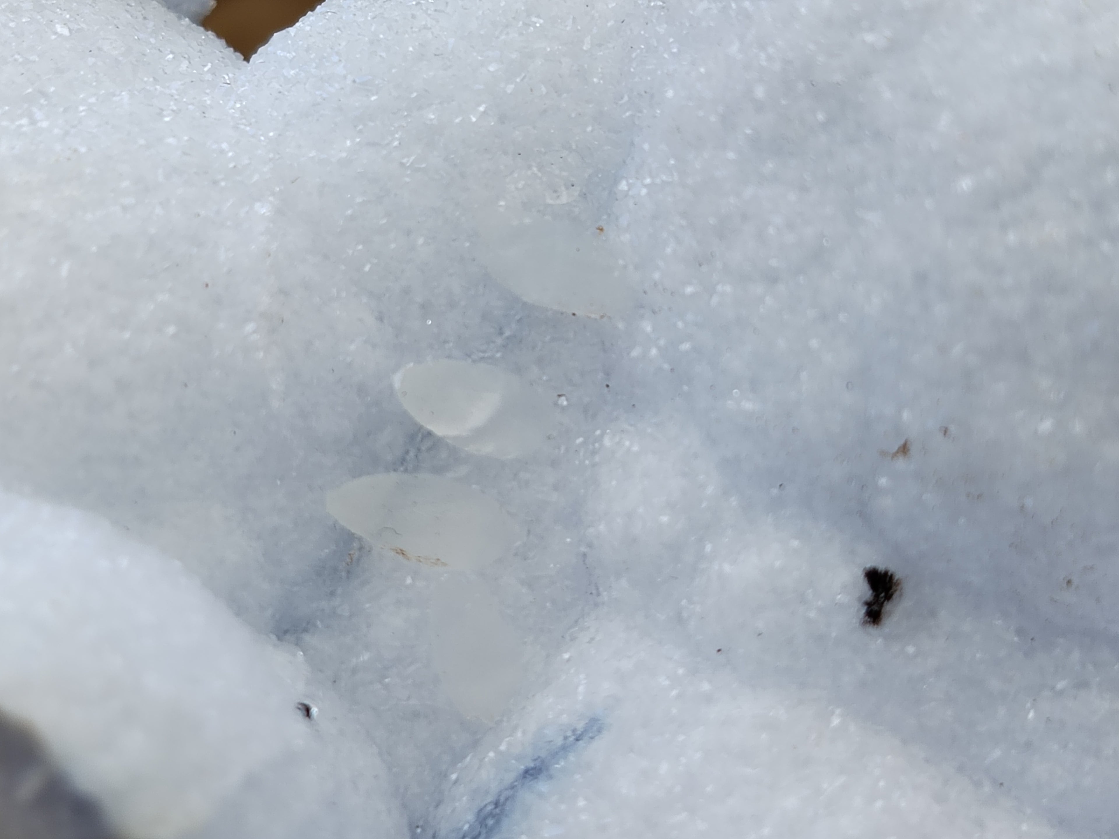Natural Blue Lace Agate Geodes x 6 From Nsanje, Malawi - Toprock Gemstones and Minerals 