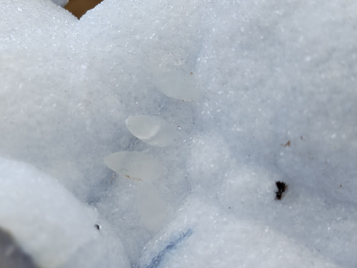 Natural Blue Lace Agate Geodes x 6 From Nsanje, Malawi - Toprock Gemstones and Minerals 