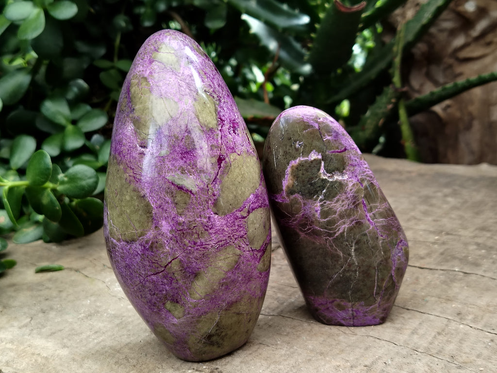 Polished Stichtite Standing Free Forms x 3 From Barberton, South Africa - Toprock Gemstones and Minerals 
