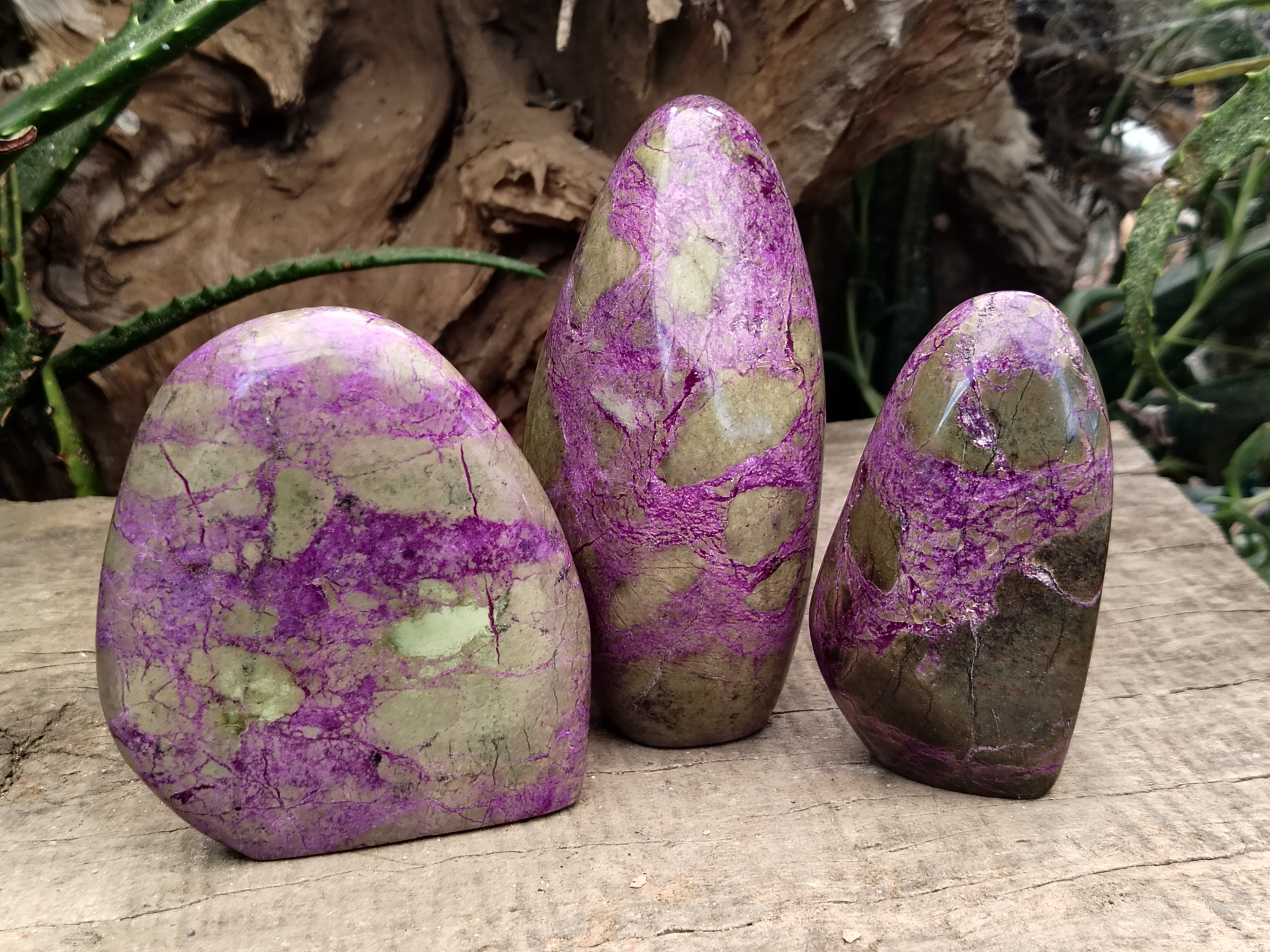 Polished Stichtite Standing Free Forms x 3 From Barberton, South Africa - Toprock Gemstones and Minerals 