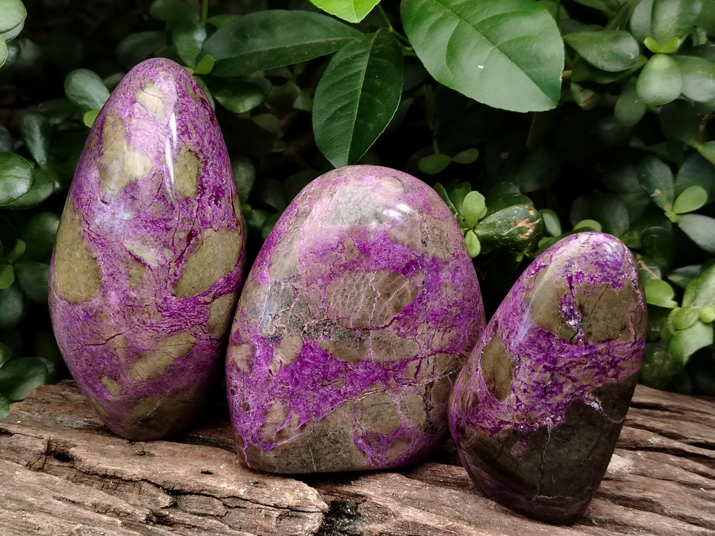 Polished Stichtite Standing Free Forms x 3 From Barberton, South Africa - Toprock Gemstones and Minerals 