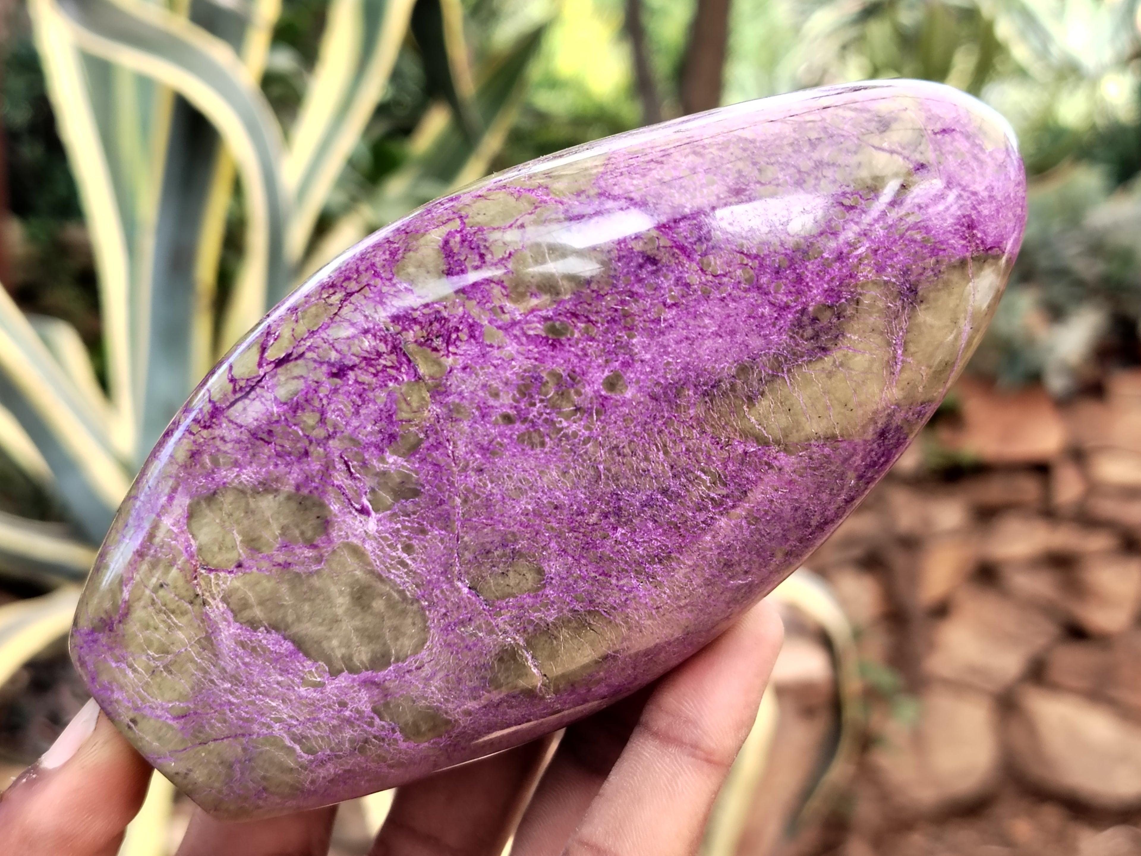 Polished Stichtite Standing Free Forms x 3 From Barberton, South Africa - Toprock Gemstones and Minerals 
