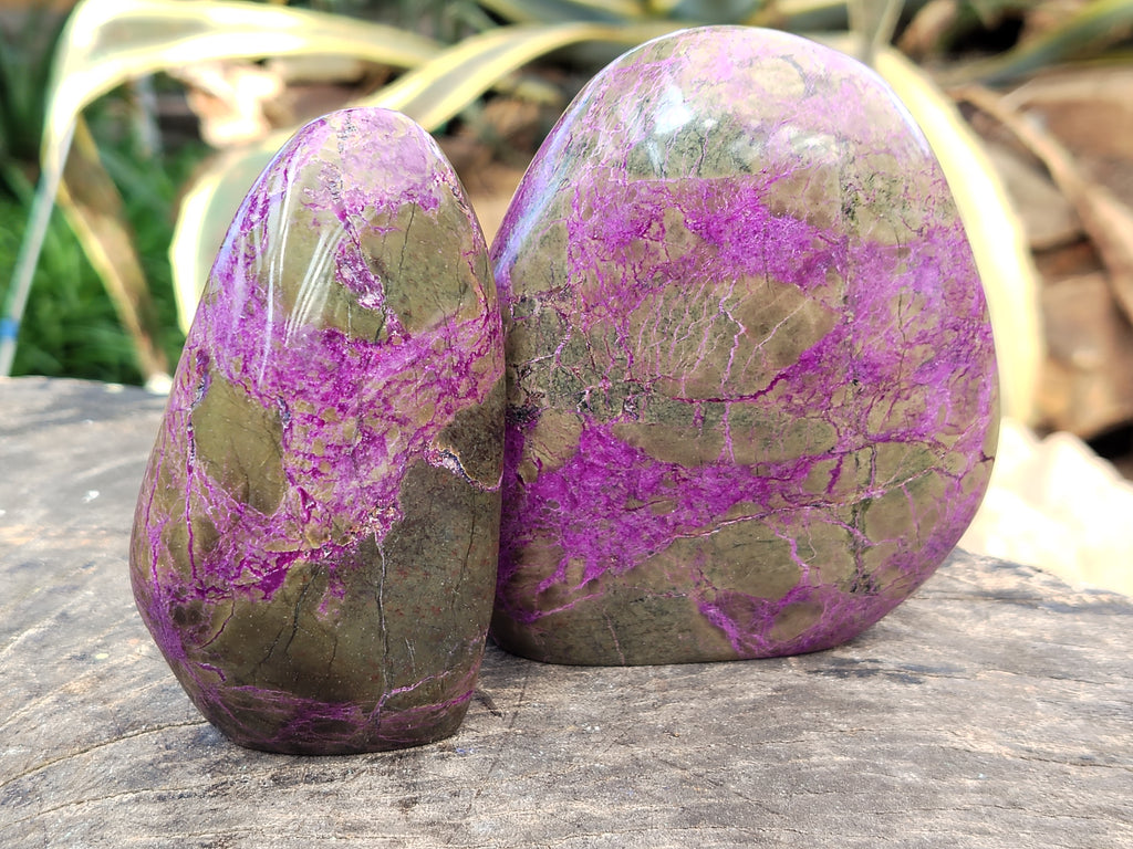 Polished Stichtite Standing Free Forms x 3 From Barberton, South Africa - Toprock Gemstones and Minerals 