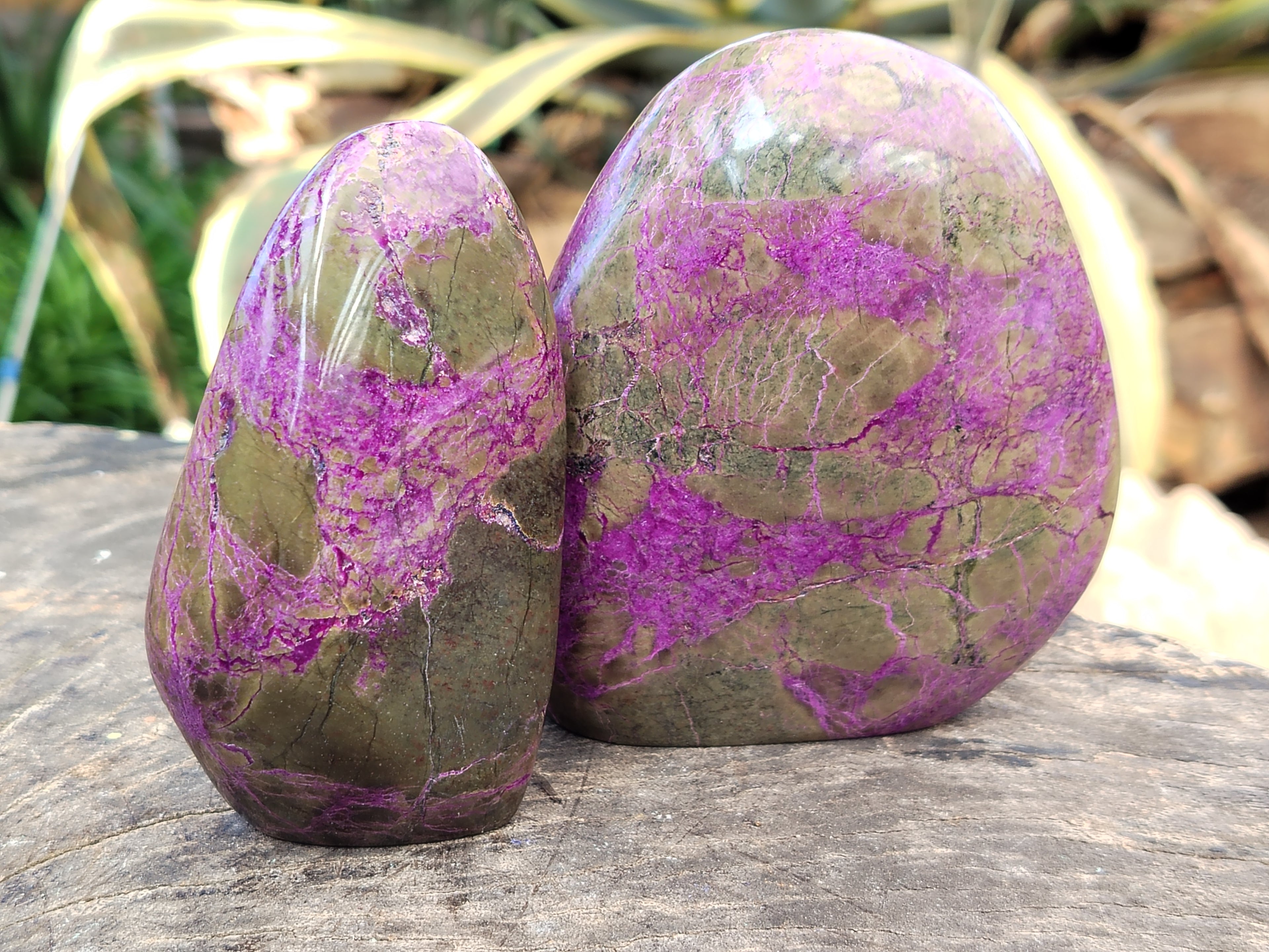Polished Stichtite Standing Free Forms x 3 From Barberton, South Africa - Toprock Gemstones and Minerals 