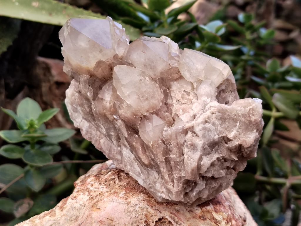 Natural Smokey Phantom Quartz Clusters x 2 From Luena, Congo - Toprock Gemstones and Minerals 