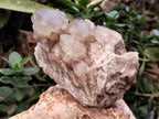 Natural Smokey Phantom Quartz Clusters x 2 From Luena, Congo - Toprock Gemstones and Minerals 