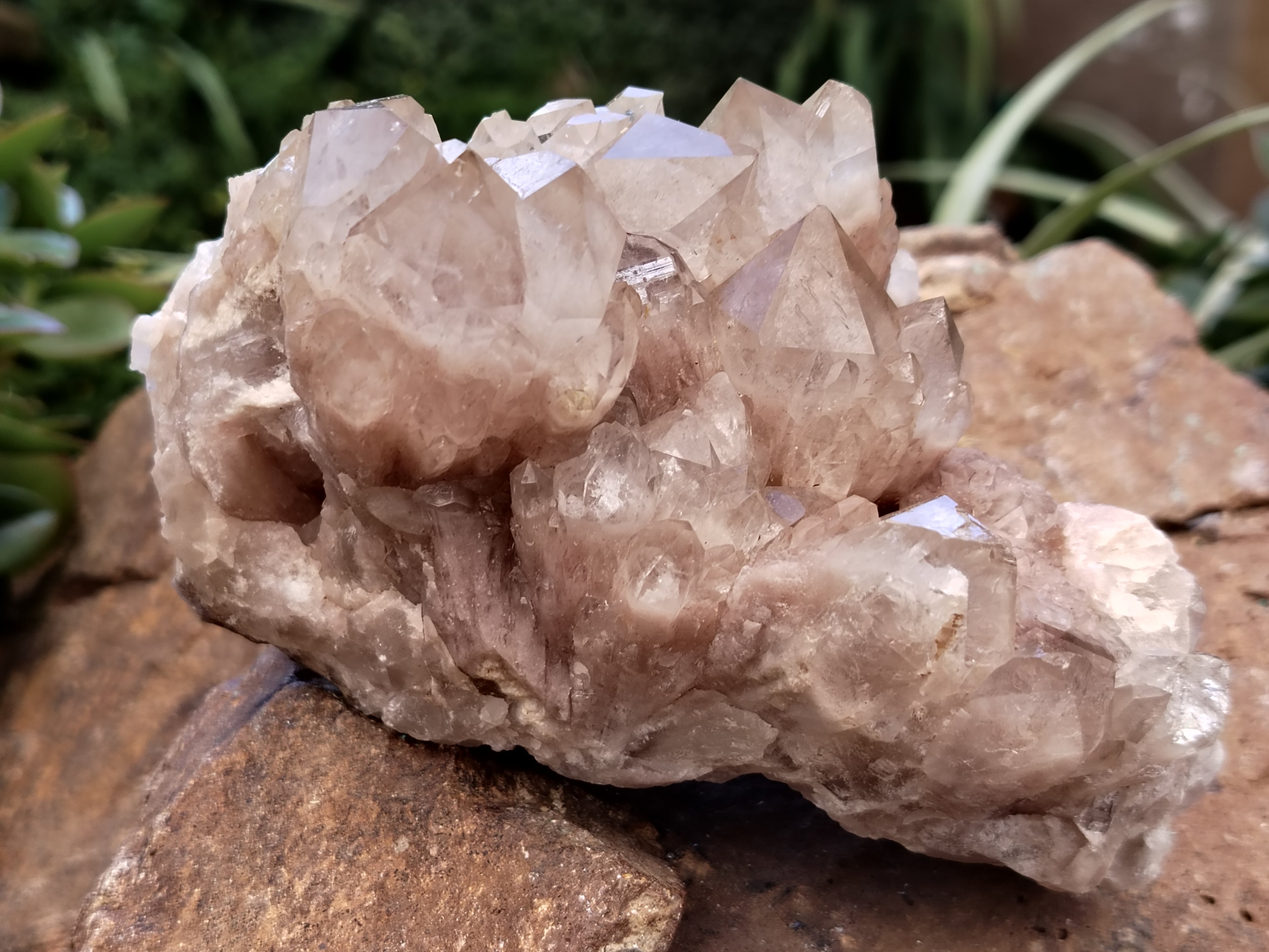 Natural Smokey Phantom Quartz Clusters x 2 From Luena, Congo - Toprock Gemstones and Minerals 