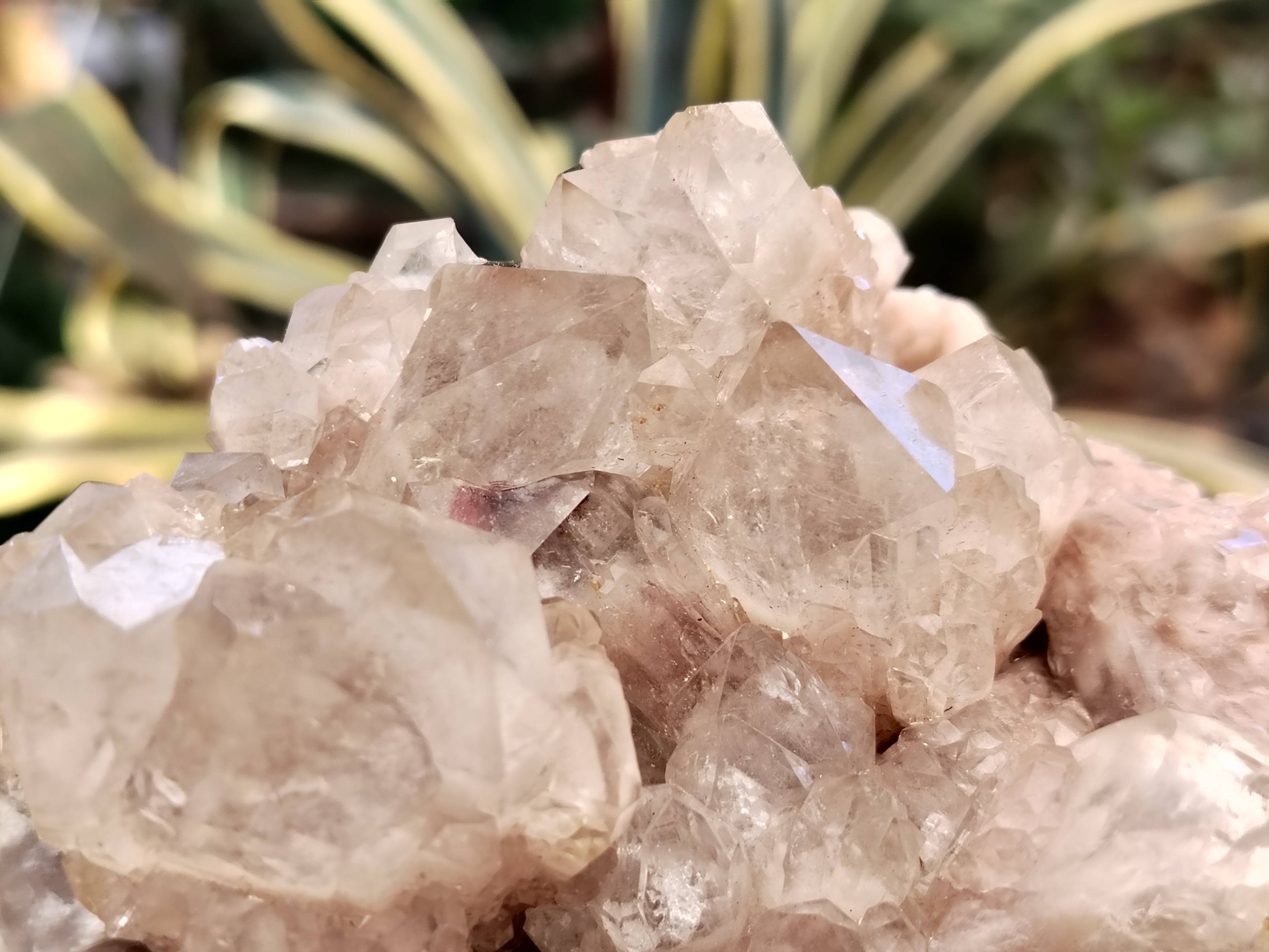 Natural Smokey Phantom Quartz Clusters x 2 From Luena, Congo - Toprock Gemstones and Minerals 