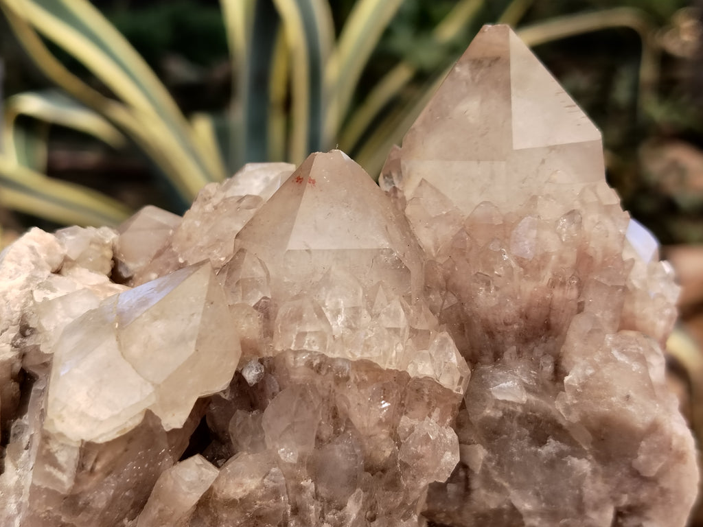 Natural Smokey Phantom Quartz Clusters x 2 From Luena, Congo - Toprock Gemstones and Minerals 