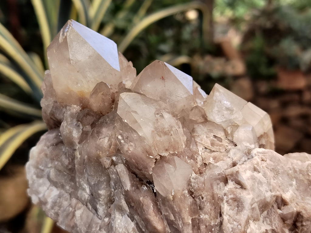 Natural Smokey Phantom Quartz Clusters x 2 From Luena, Congo - Toprock Gemstones and Minerals 