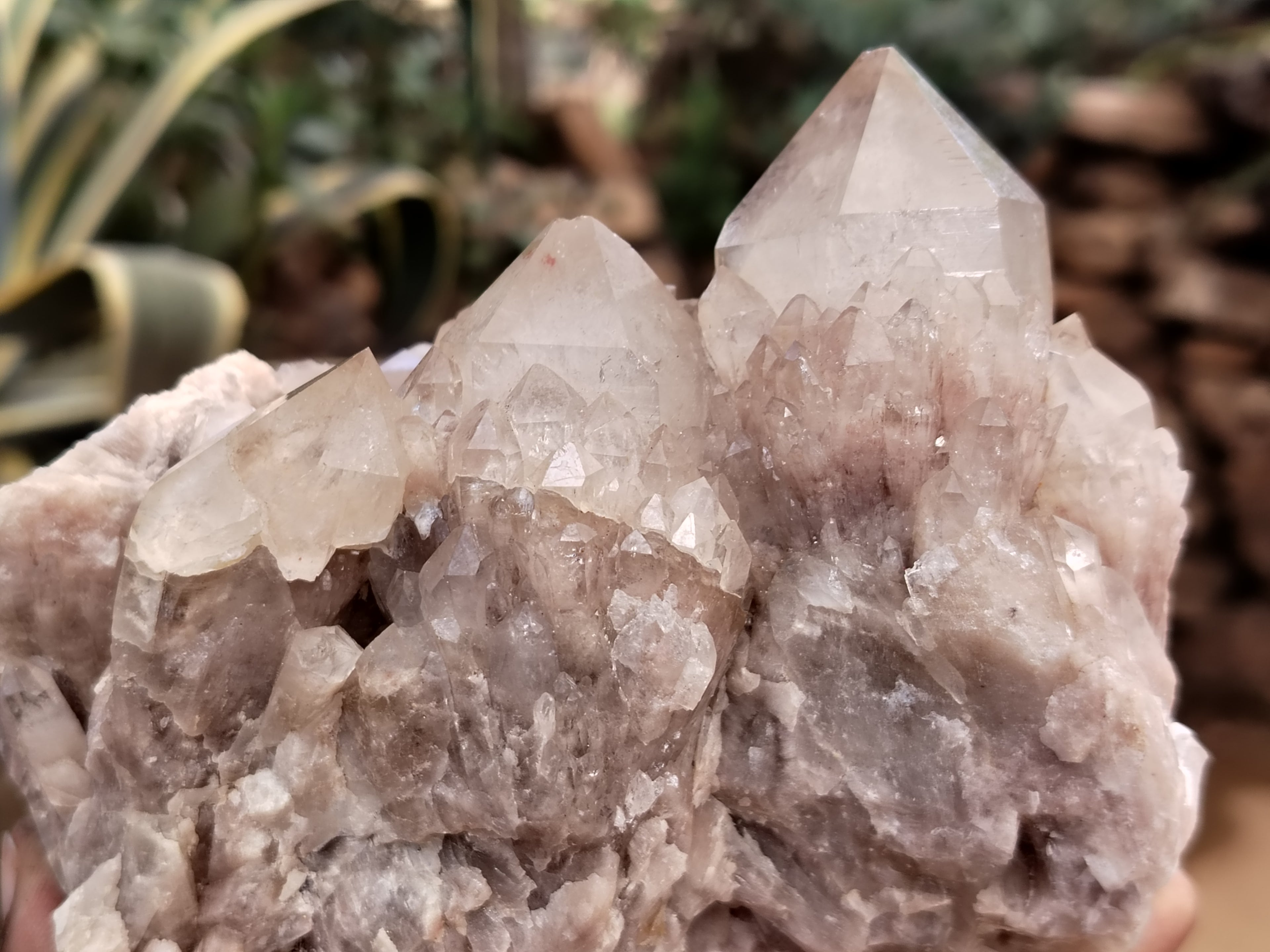 Natural Smokey Phantom Quartz Clusters x 2 From Luena, Congo - Toprock Gemstones and Minerals 