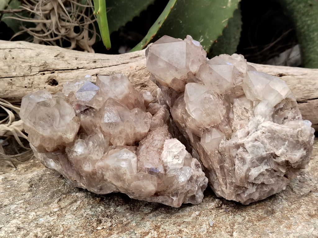 Natural Smokey Phantom Quartz Clusters x 2 From Luena, Congo - Toprock Gemstones and Minerals 