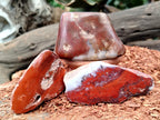 Polished On One Side Red Jasper Free Forms x 16 From Northern Cape, South Africa - Toprock Gemstones and Minerals 