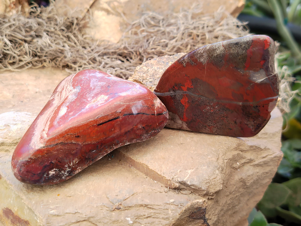 Polished On One Side Red Jasper Free Forms x 16 From Northern Cape, South Africa - Toprock Gemstones and Minerals 