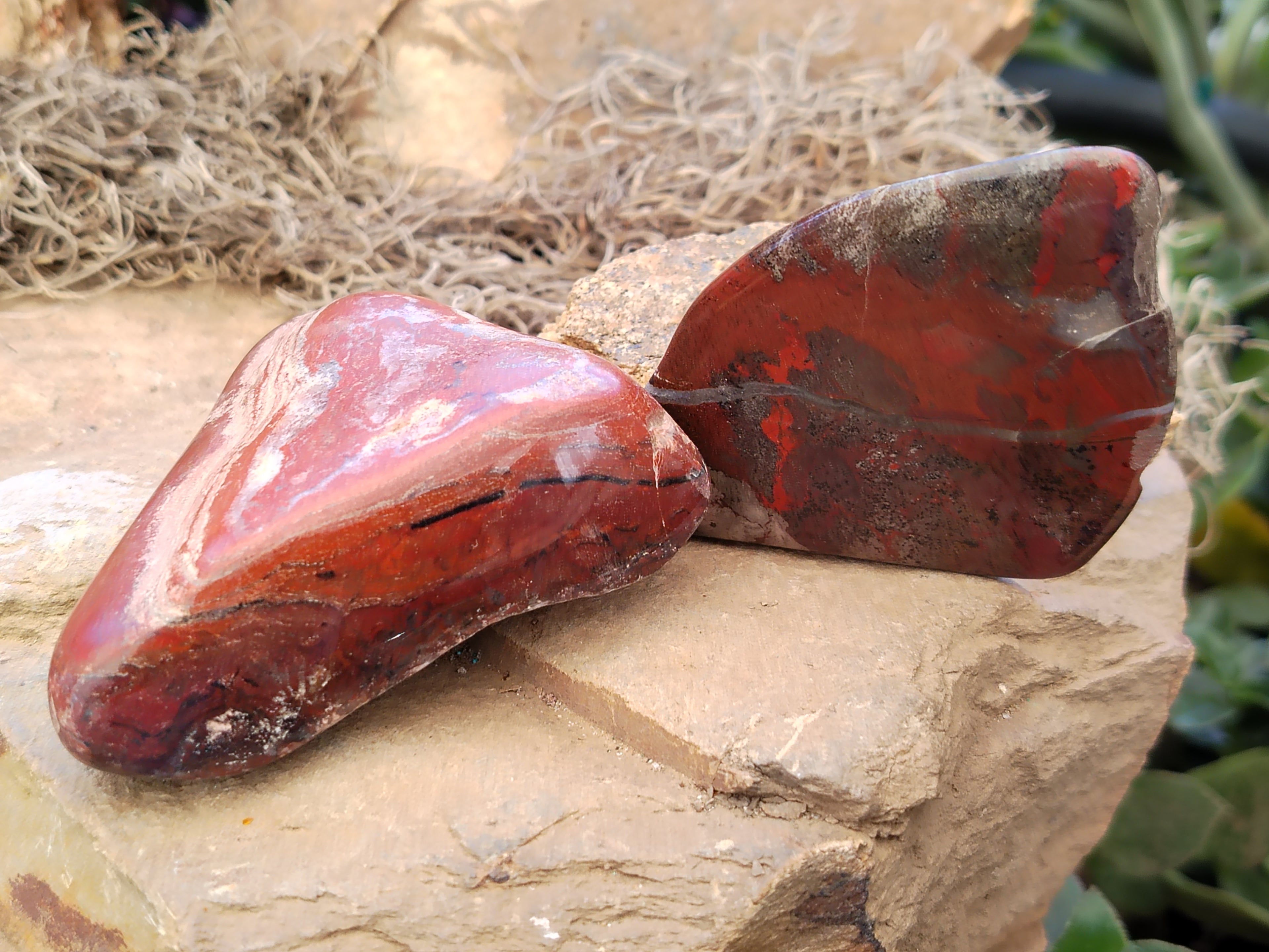 Polished On One Side Red Jasper Free Forms x 16 From Northern Cape, South Africa - Toprock Gemstones and Minerals 