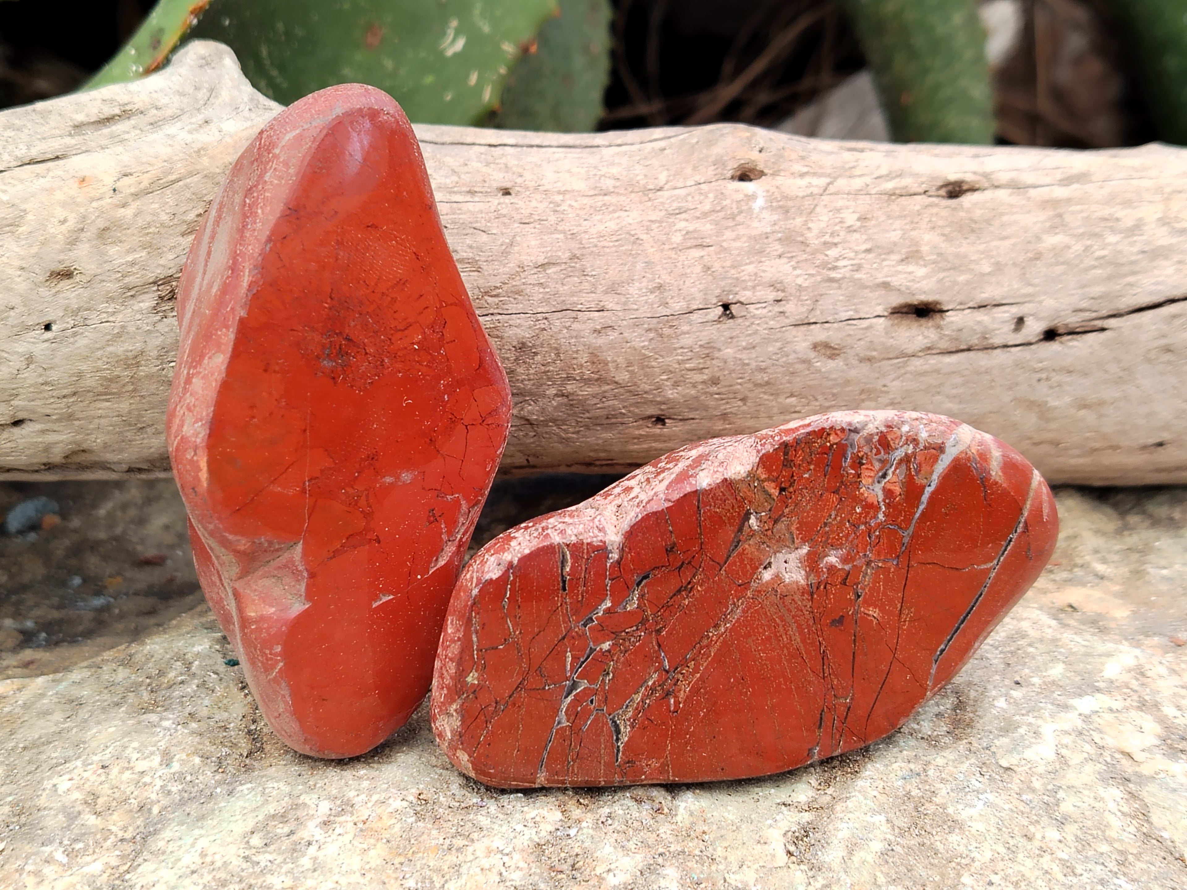 Polished On One Side Red Jasper Free Forms x 16 From Northern Cape, South Africa - Toprock Gemstones and Minerals 