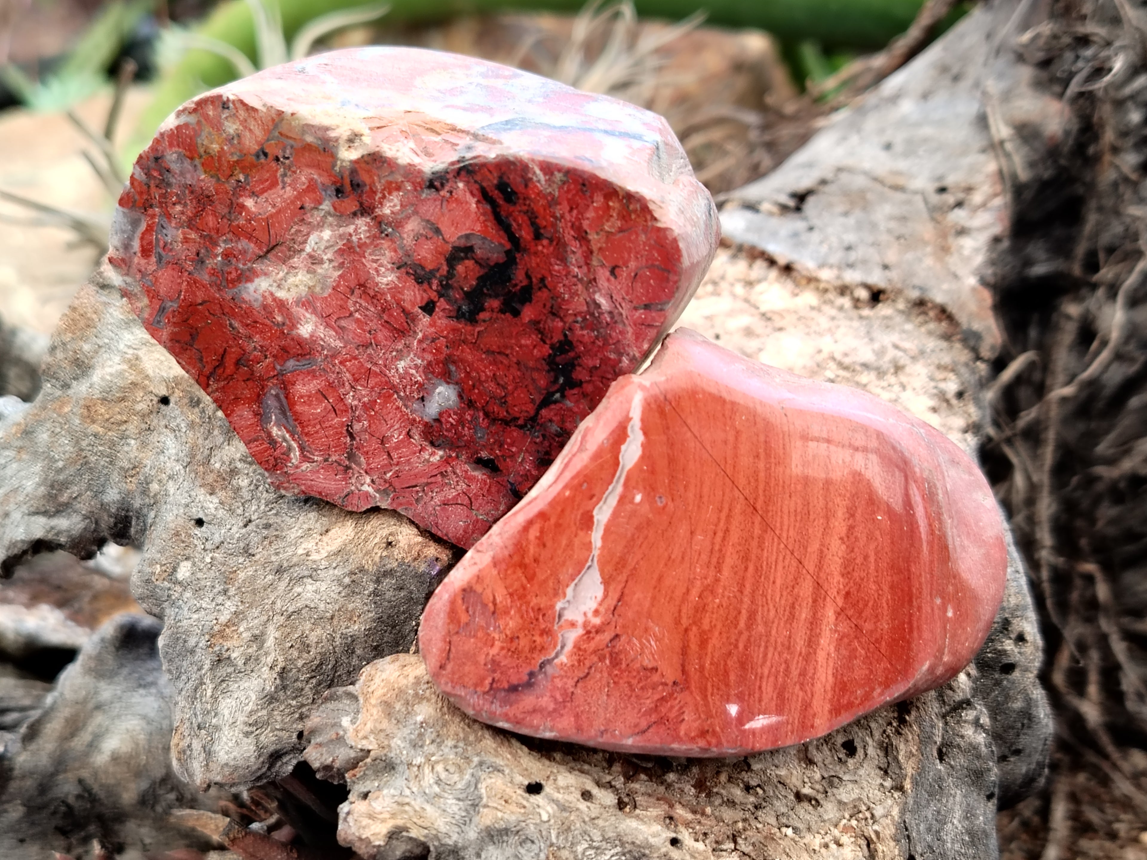 Polished On One Side Red Jasper Free Forms x 16 From Northern Cape, South Africa - Toprock Gemstones and Minerals 