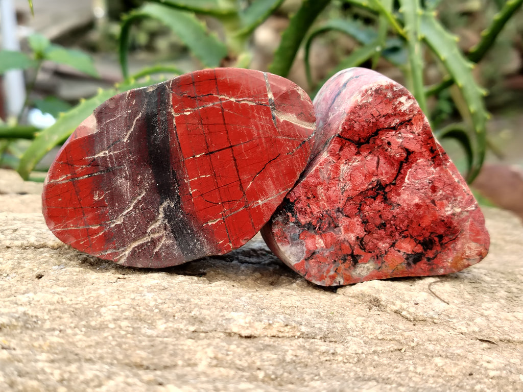 Polished On One Side Red Jasper Free Forms x 16 From Northern Cape, South Africa - Toprock Gemstones and Minerals 