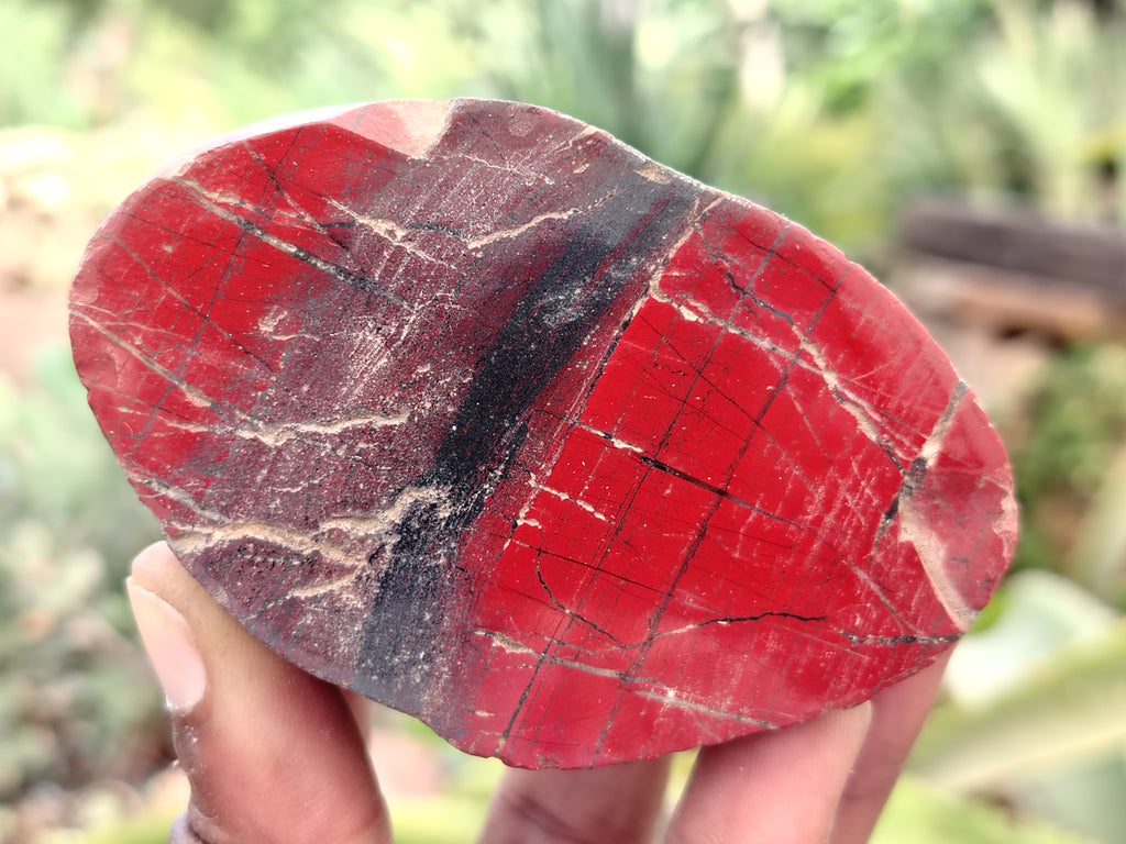 Polished On One Side Red Jasper Free Forms x 16 From Northern Cape, South Africa - Toprock Gemstones and Minerals 