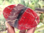 Polished On One Side Red Jasper Free Forms x 16 From Northern Cape, South Africa - Toprock Gemstones and Minerals 