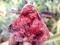Polished On One Side Red Jasper Free Forms x 16 From Northern Cape, South Africa - Toprock Gemstones and Minerals 