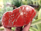 Polished On One Side Red Jasper Free Forms x 16 From Northern Cape, South Africa - Toprock Gemstones and Minerals 