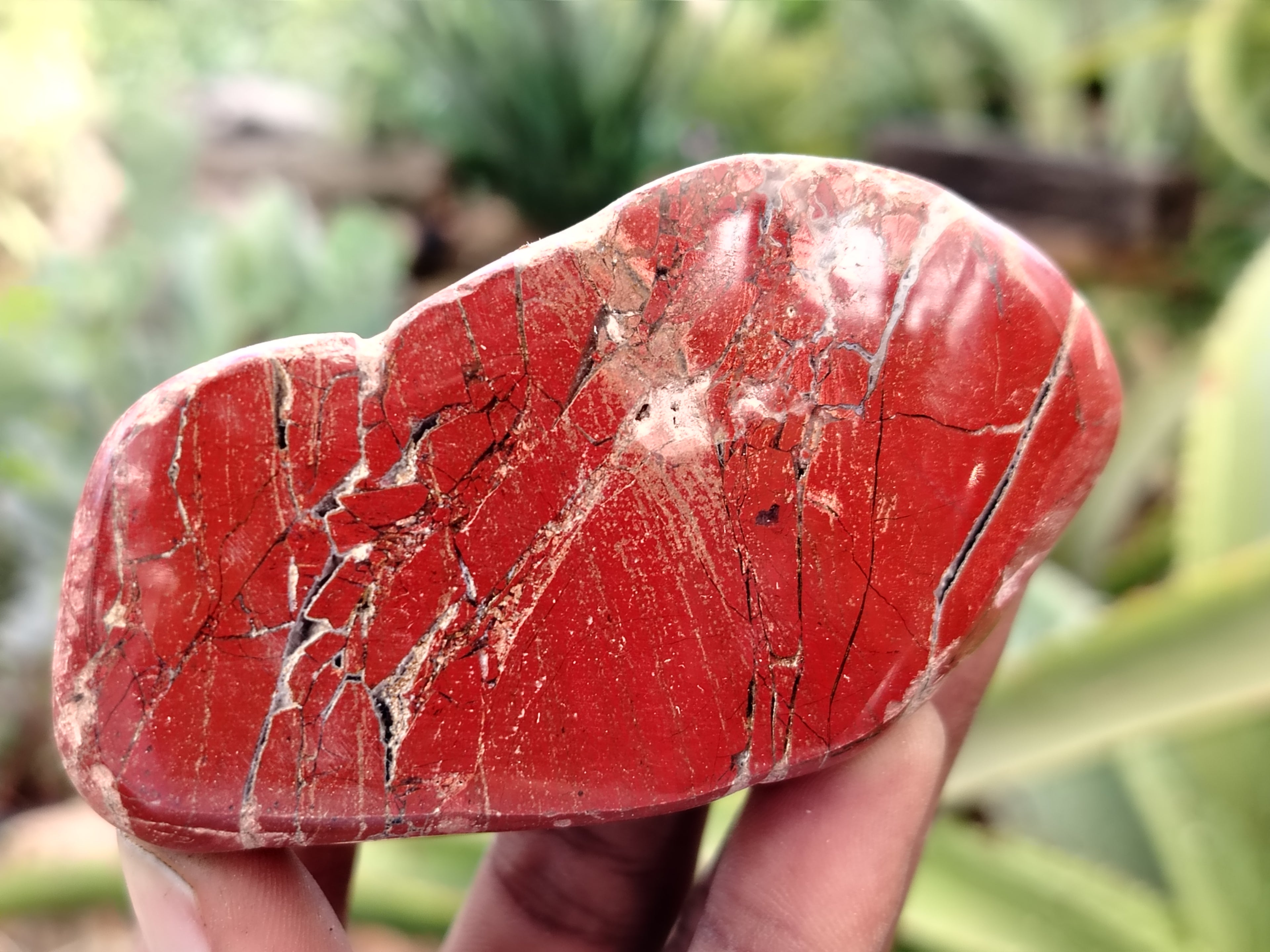Polished On One Side Red Jasper Free Forms x 16 From Northern Cape, South Africa - Toprock Gemstones and Minerals 