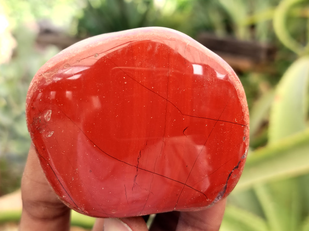 Polished On One Side Red Jasper Free Forms x 16 From Northern Cape, South Africa - Toprock Gemstones and Minerals 