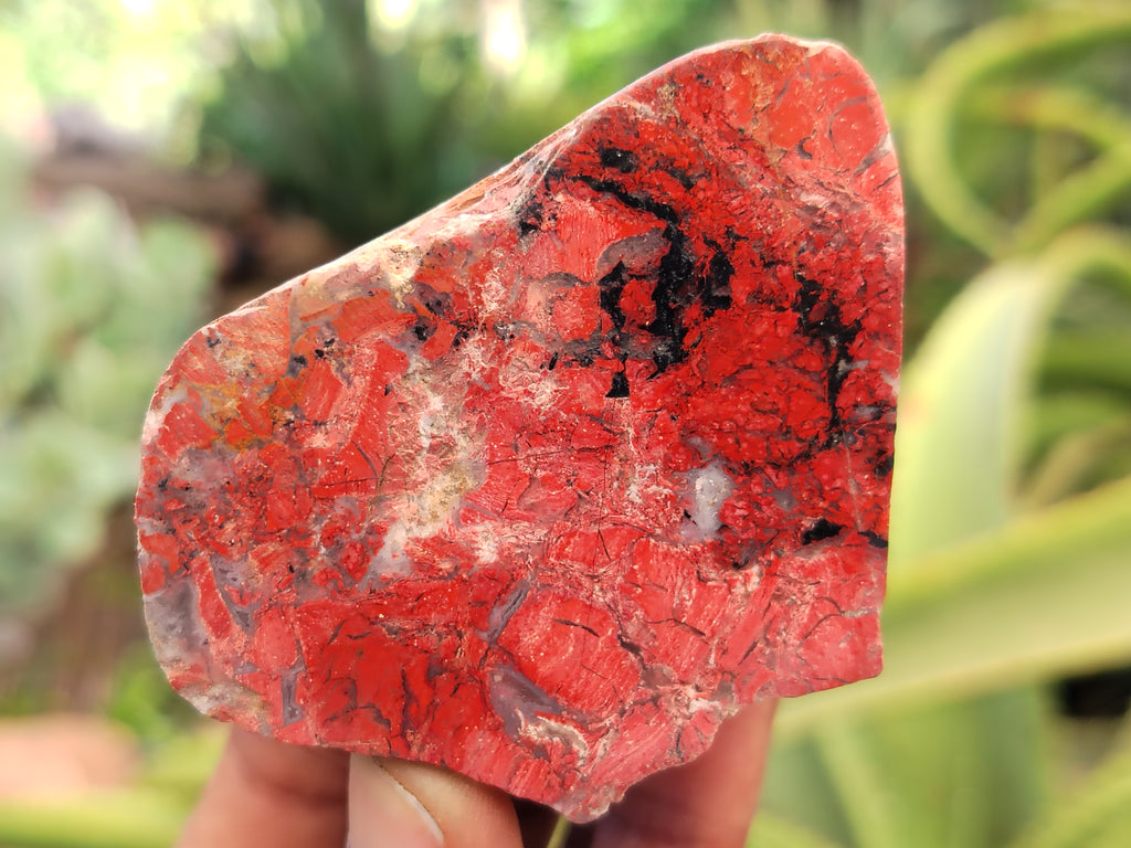 Polished On One Side Red Jasper Free Forms x 16 From Northern Cape, South Africa - Toprock Gemstones and Minerals 