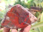 Polished On One Side Red Jasper Free Forms x 16 From Northern Cape, South Africa - Toprock Gemstones and Minerals 