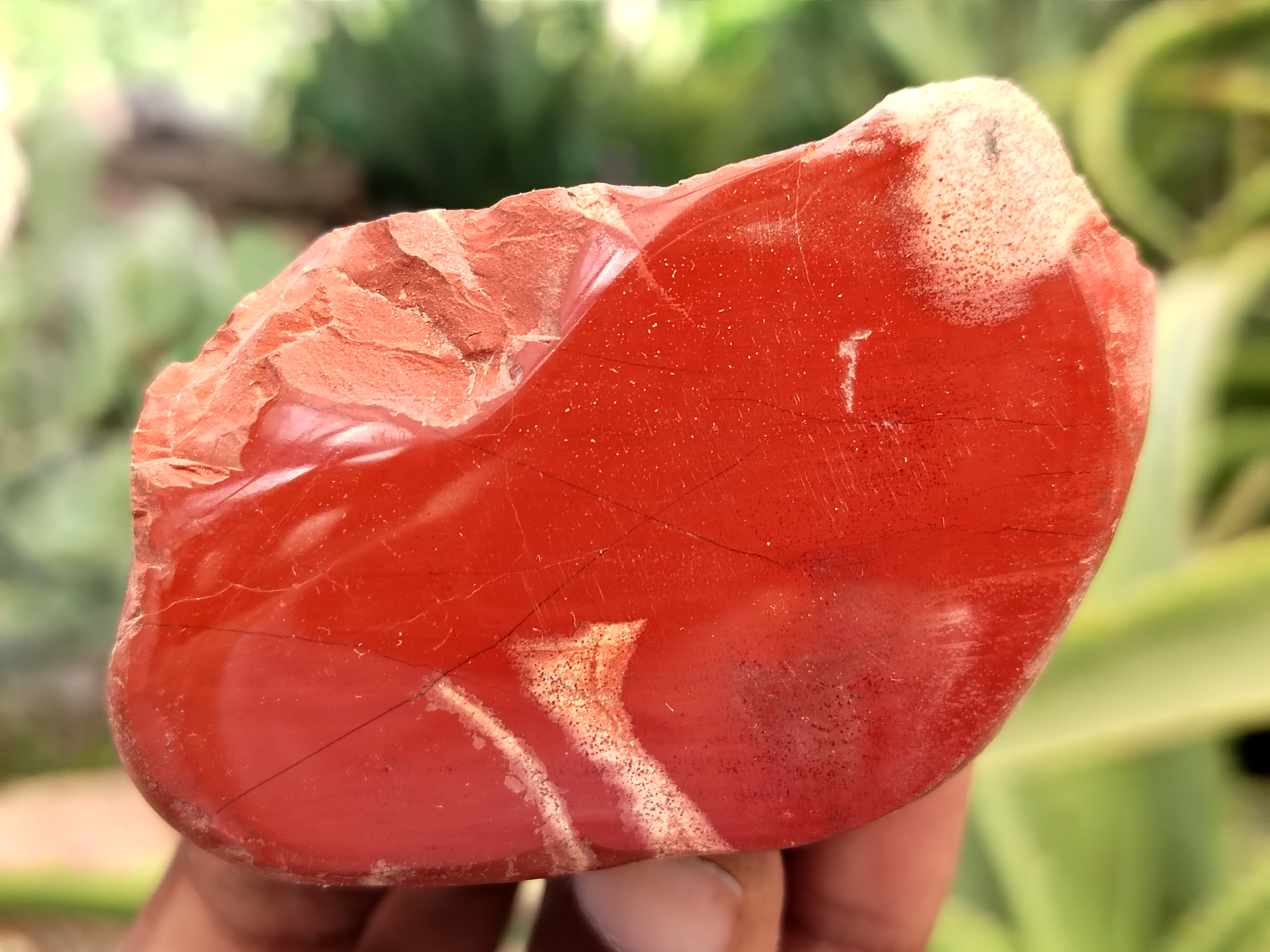 Polished On One Side Red Jasper Free Forms x 16 From Northern Cape, South Africa - Toprock Gemstones and Minerals 