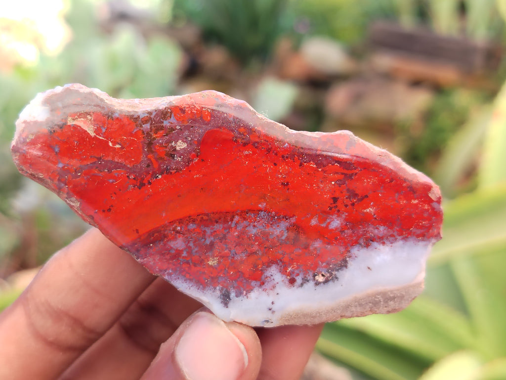 Polished On One Side Red Jasper Free Forms x 16 From Northern Cape, South Africa - Toprock Gemstones and Minerals 