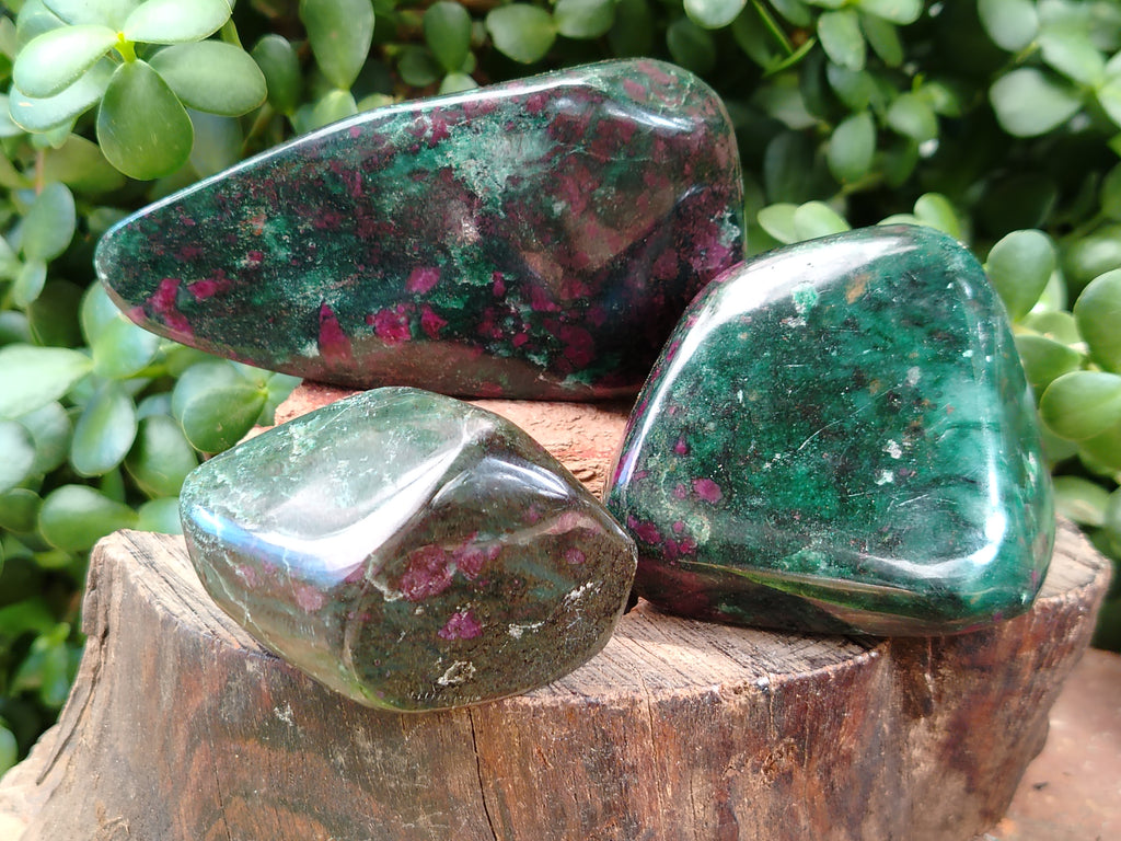 Polished Ruby Corundum In Chrome Verdite Free Forms x 4 From Zimbabwe - Toprock Gemstones and Minerals 