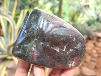 Polished Ruby Corundum In Chrome Verdite Free Forms x 4 From Zimbabwe - Toprock Gemstones and Minerals 