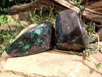 Polished Ruby Corundum In Chrome Verdite Free Forms x 4 From Zimbabwe - Toprock Gemstones and Minerals 