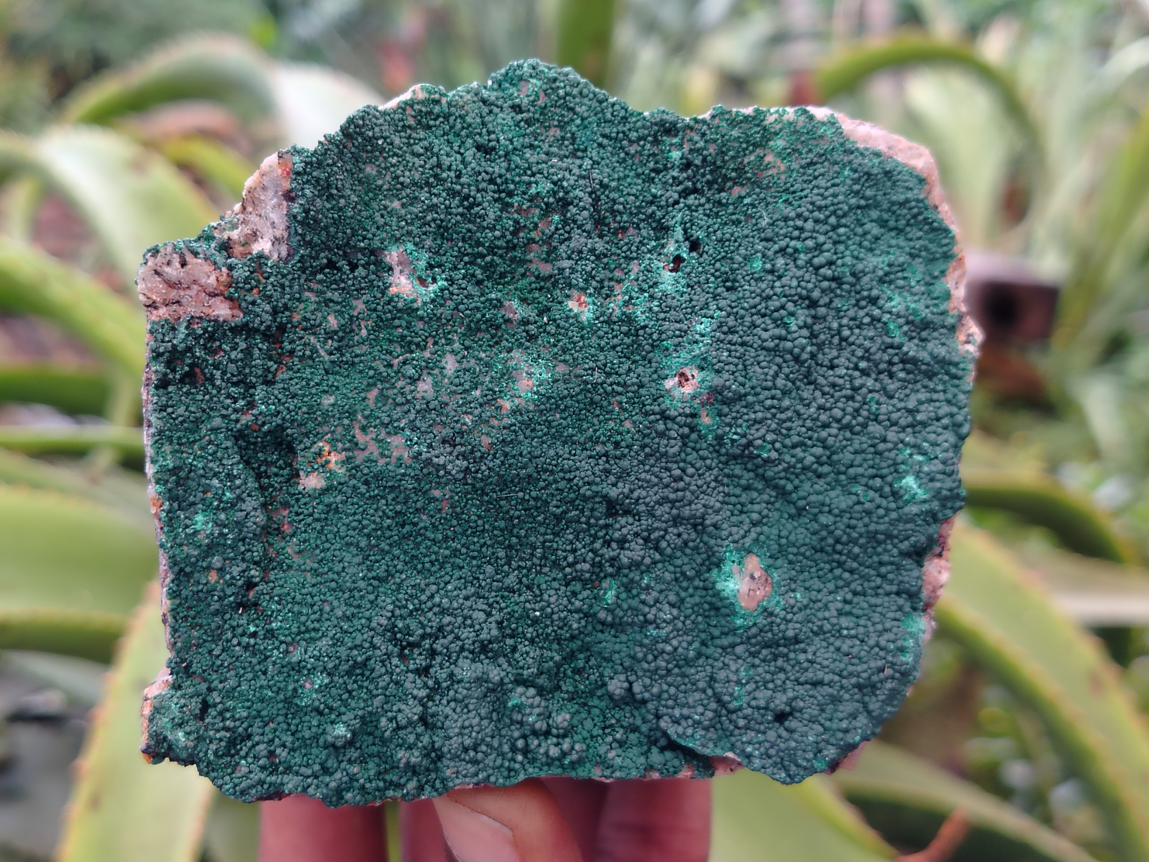Natural Crystalline Malachite Specimens x 3 From Tenke Fungurume, Congo - Toprock Gemstones and Minerals 