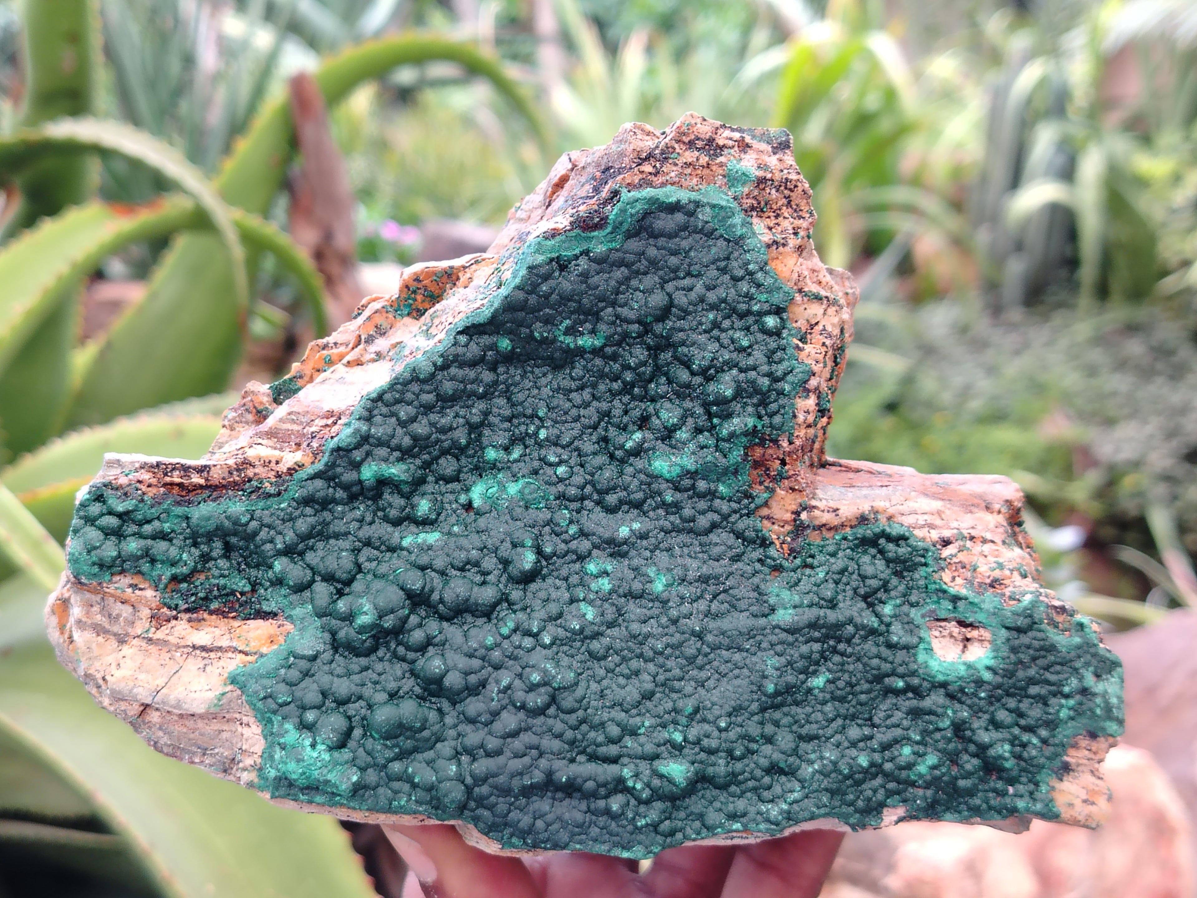 Natural Crystalline Malachite Specimens x 3 From Tenke Fungurume, Congo - Toprock Gemstones and Minerals 