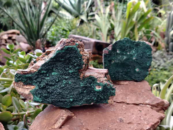 Natural Crystalline Malachite Specimens x 3 From Tenke Fungurume, Congo - Toprock Gemstones and Minerals 