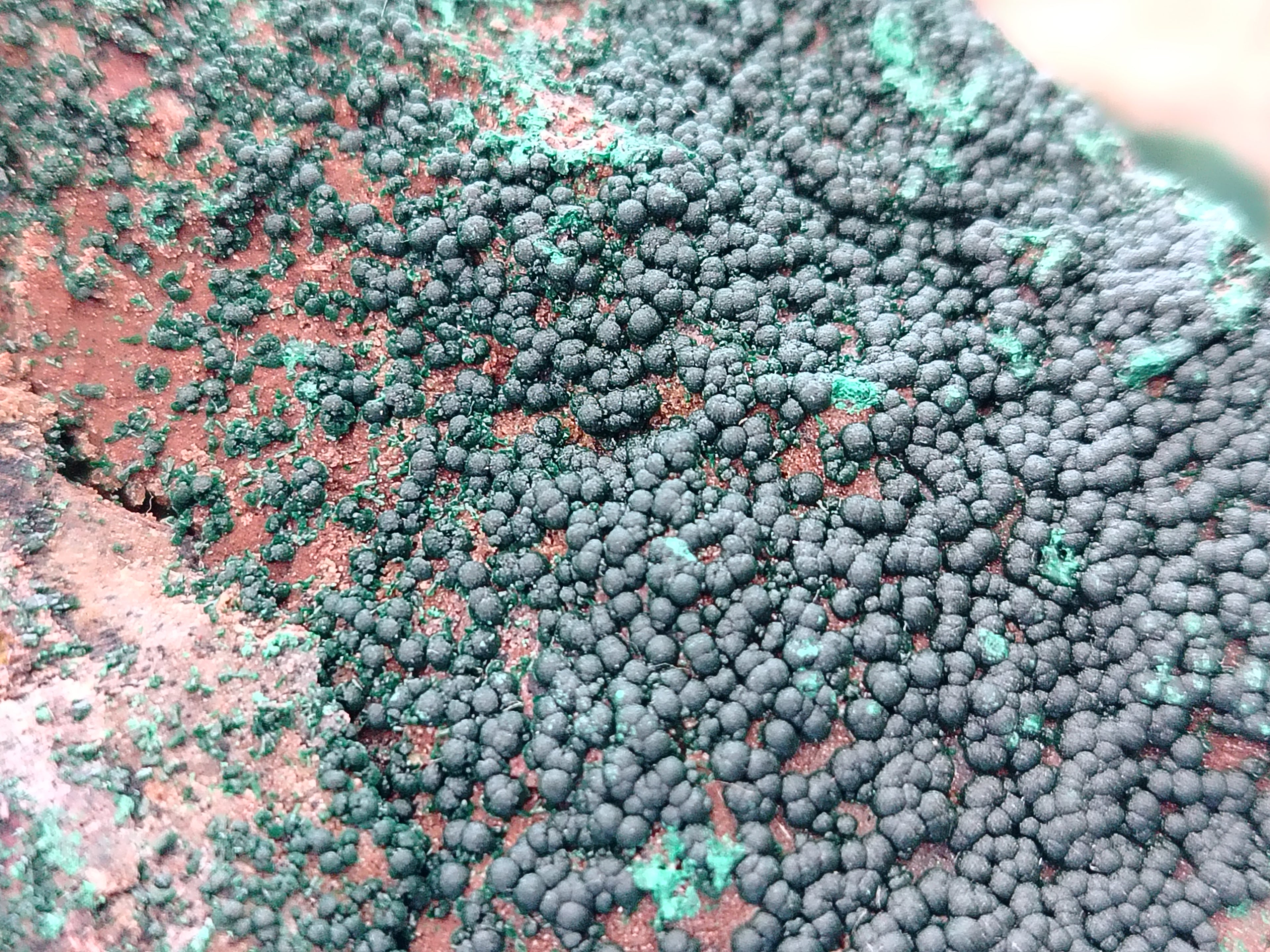 Natural Crystalline Malachite Specimens x 3 From Tenke Fungurume, Congo - Toprock Gemstones and Minerals 