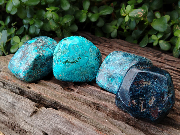 Polished Shattuckite with Azurite and Chrysocolla Free Forms x 4 From Congo - Toprock Gemstones and Minerals 