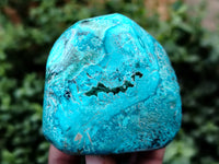 Polished Shattuckite with Azurite and Chrysocolla Free Forms x 4 From Congo - Toprock Gemstones and Minerals 